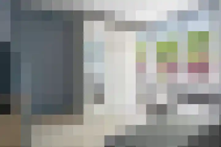Houtduif 35 Etten-Leur thumbnail 22