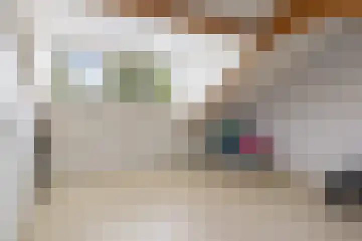 Houtduif 35 Etten-Leur thumbnail 30