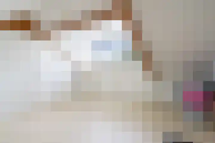 Houtduif 35 Etten-Leur thumbnail 31