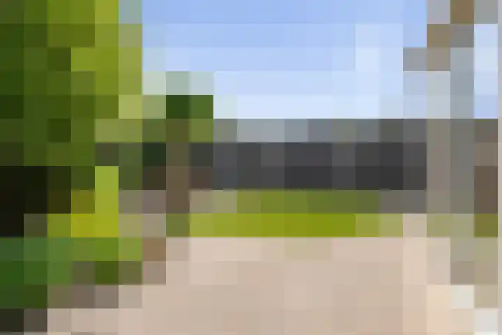 Houtduif 35 Etten-Leur thumbnail 33