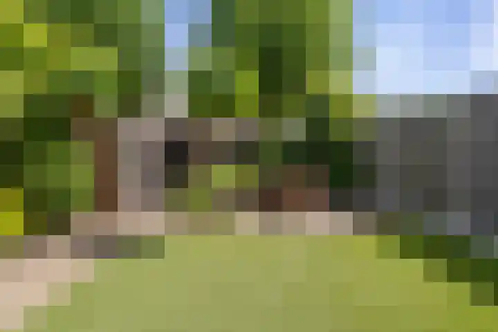 Houtduif 35 Etten-Leur thumbnail 34