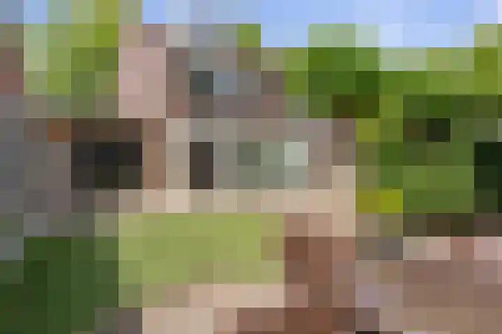 Houtduif 35 Etten-Leur thumbnail 36