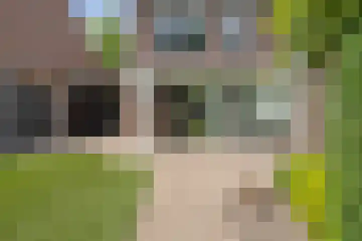 Houtduif 35 Etten-Leur thumbnail 37