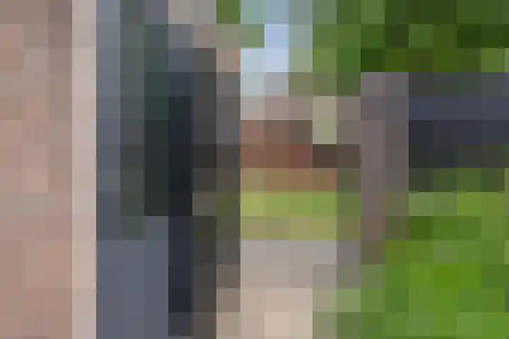 Houtduif 35 Etten-Leur thumbnail 38