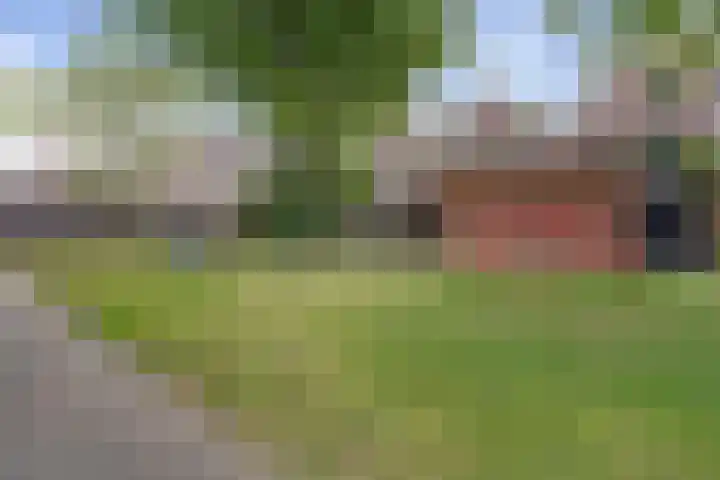 Houtduif 35 Etten-Leur thumbnail 39