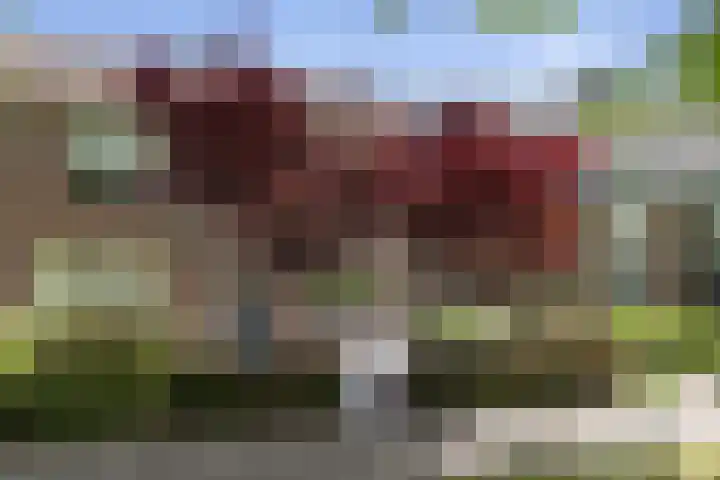 Houtduif 35 Etten-Leur thumbnail 40