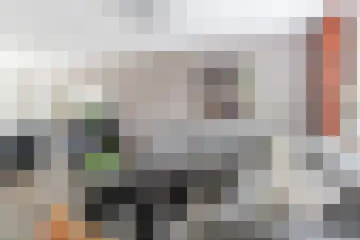 Houtduif 35 Etten-Leur thumbnail 6