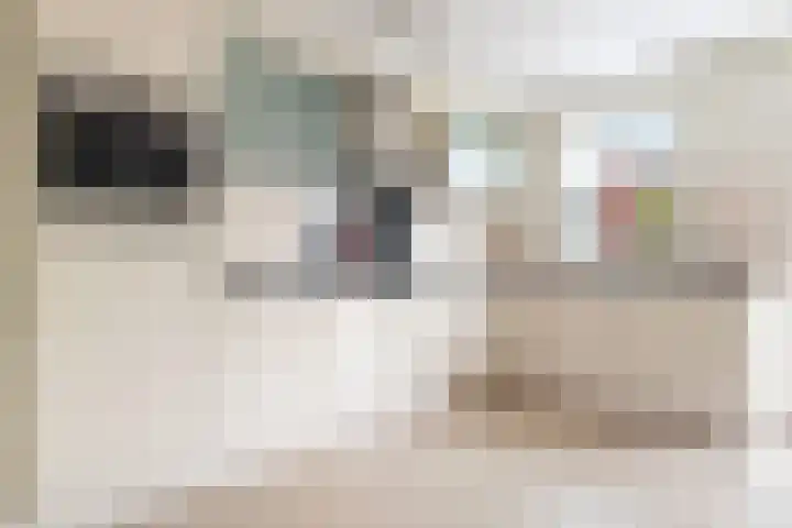 Houtduif 35 Etten-Leur thumbnail 9