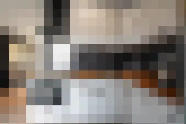 Houtduif 35 Schagen thumbnail 10