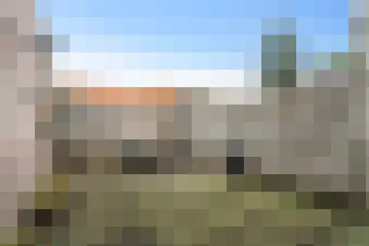Houtduif 35 Schagen thumbnail 12