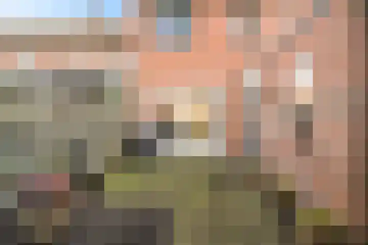 Houtduif 35 Schagen thumbnail 13