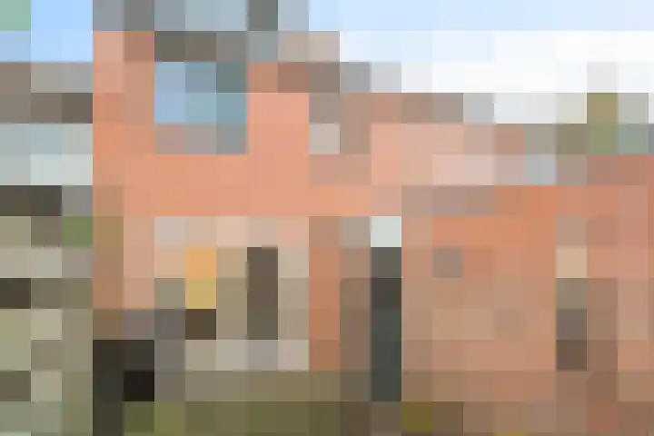 Houtduif 35 Schagen thumbnail 14