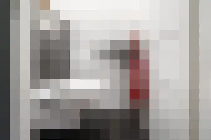 Houtduif 35 Schagen thumbnail 16