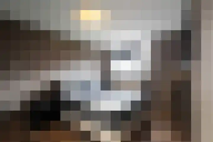 Houtduif 35 Schagen thumbnail 17