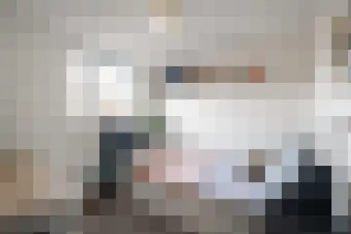 Houtduif 35 Schagen thumbnail 19