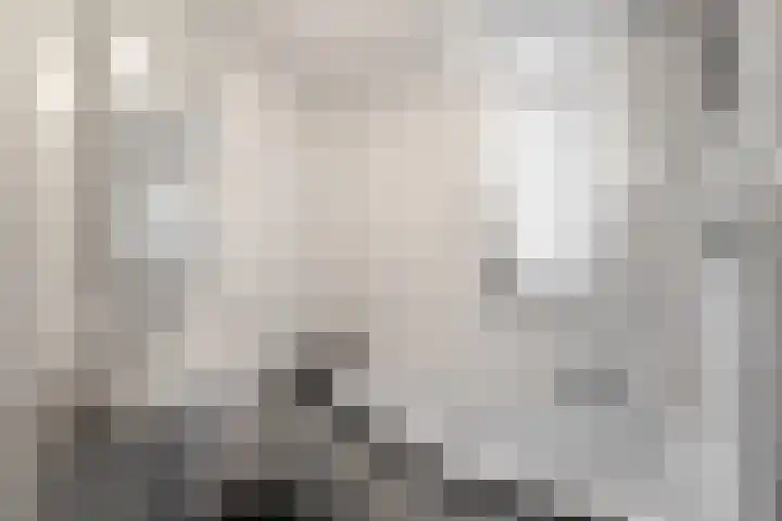 Houtduif 35 Schagen thumbnail 23