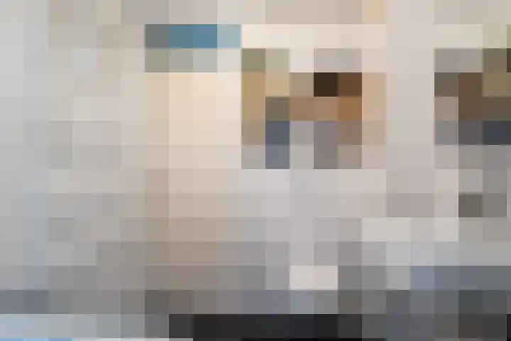 Houtduif 35 Schagen thumbnail 24