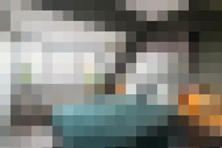 Houtduif 35 Schagen thumbnail 25