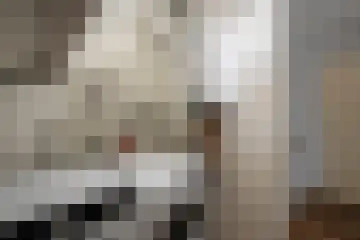 Houtduif 35 Schagen thumbnail 27