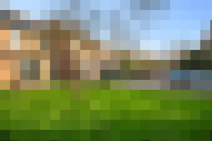 Houtduif 35 Schagen thumbnail 29