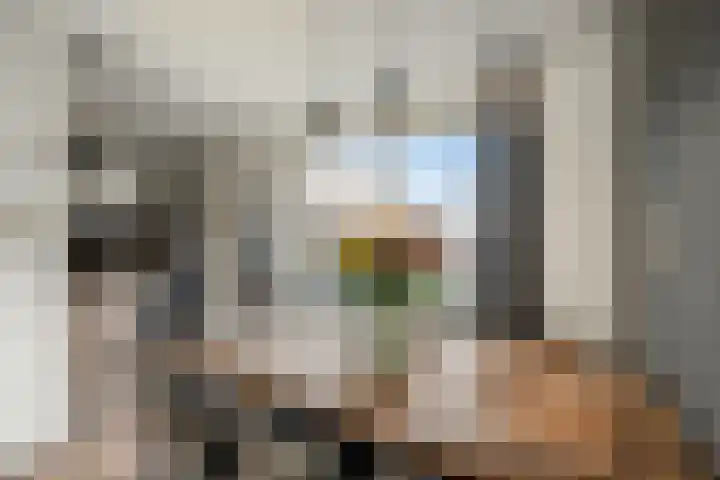 Houtduif 35 Schagen thumbnail 6
