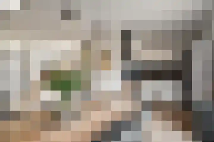 Houtduif 35 Schagen thumbnail 8