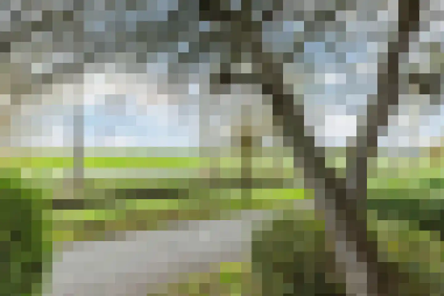 Houtduif 36 Mijdrecht thumbnail 33