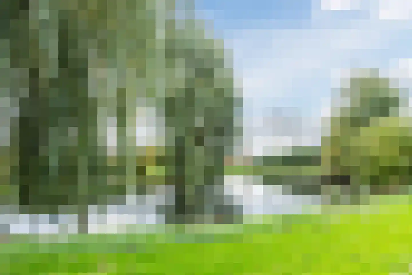 Houtduif 36 Mijdrecht thumbnail 35