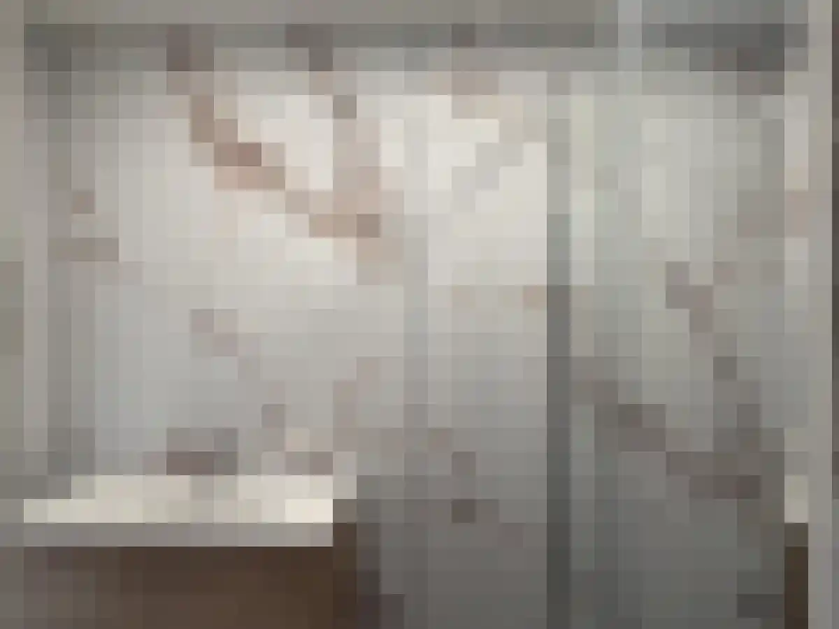 Houtduif 4 Nieuwegein thumbnail 4