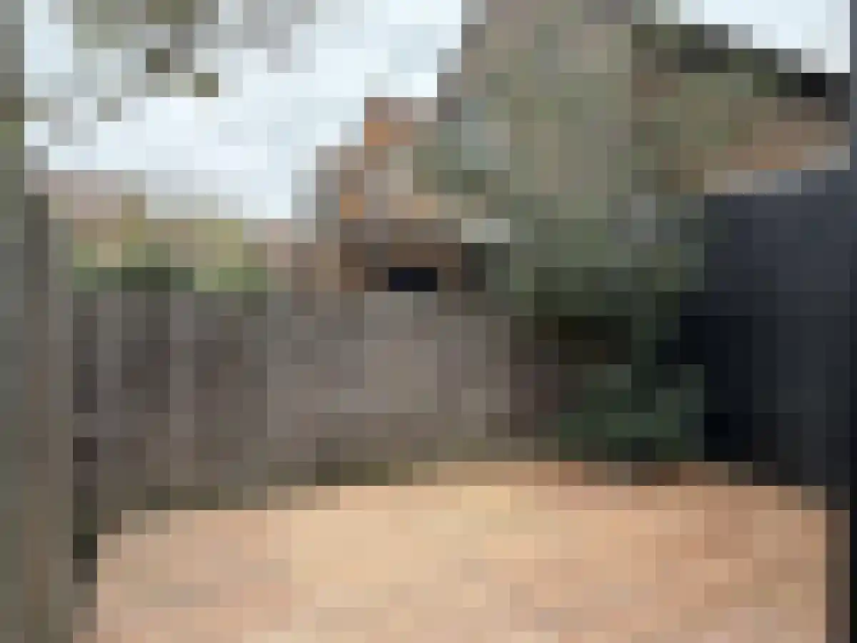 Houtduif 4 Nieuwegein thumbnail 5