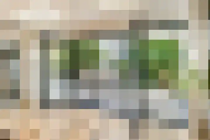 Houtduif 44 Mijdrecht thumbnail 9