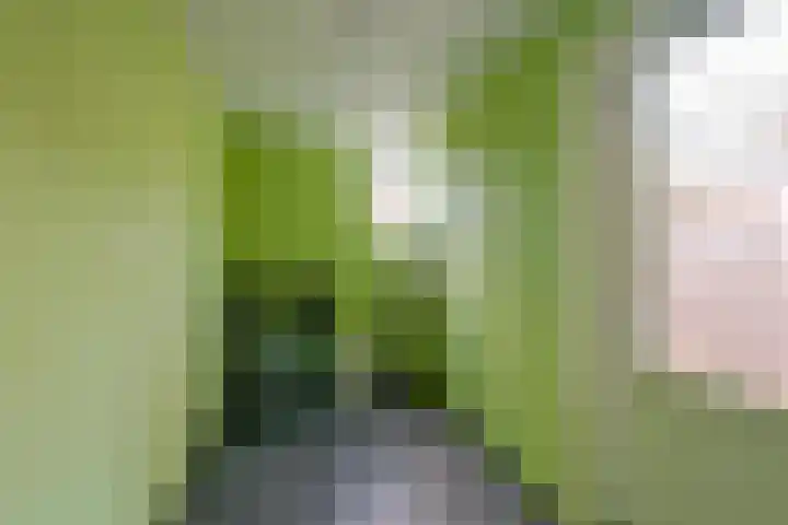Houtduif 49 Schagen thumbnail 12