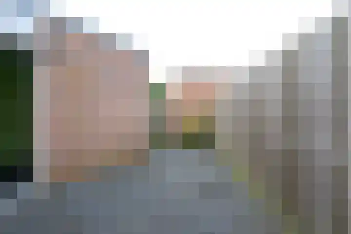 Houtduif 49 Schagen thumbnail 13