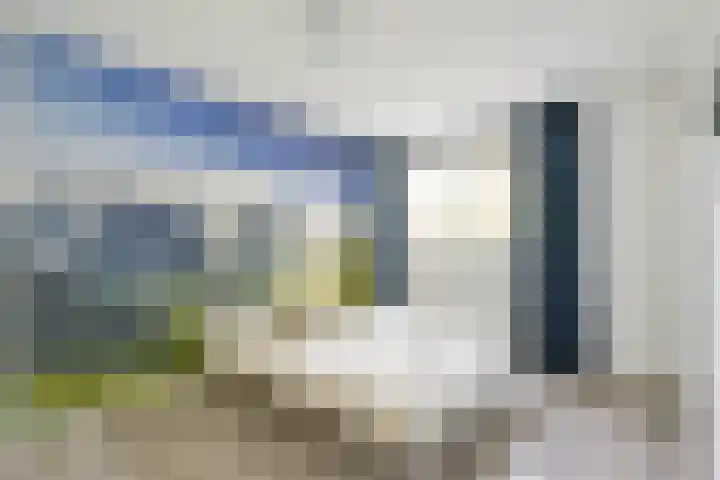 Houtduif 49 Schagen thumbnail 19