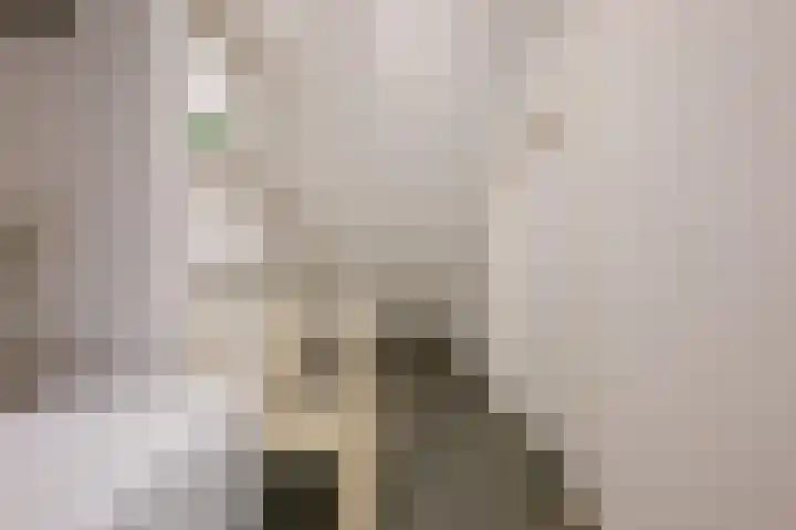 Houtduif 49 Schagen thumbnail 30