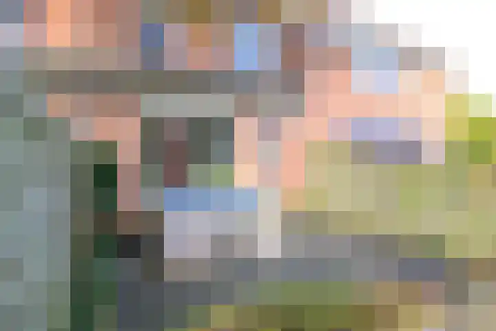 Houtduif 49 Schagen thumbnail 33