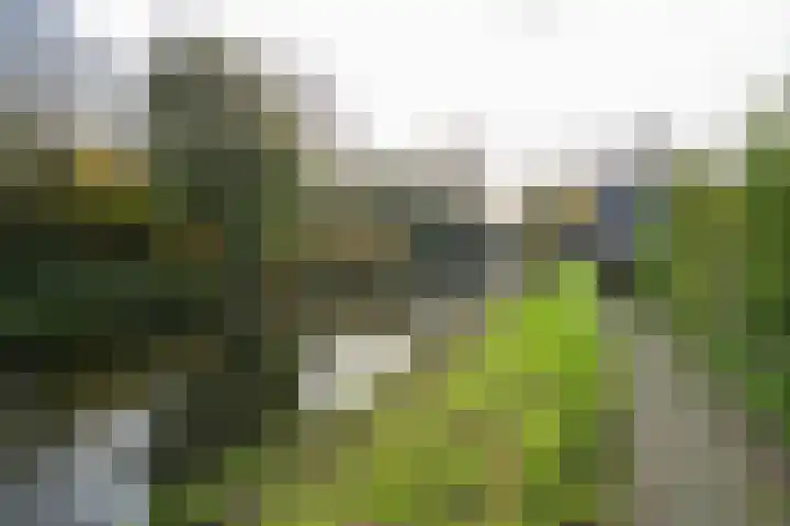 Houtduif 49 Schagen thumbnail 35