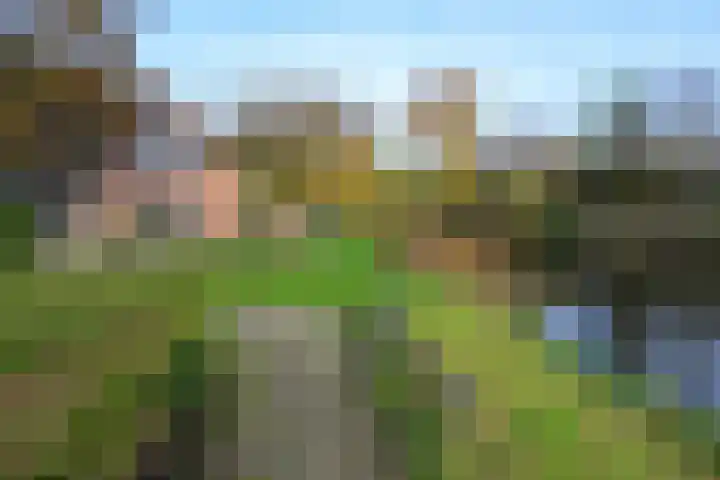 Houtduif 49 Schagen thumbnail 36