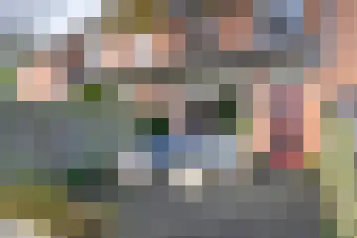 Houtduif 49 Schagen thumbnail 4