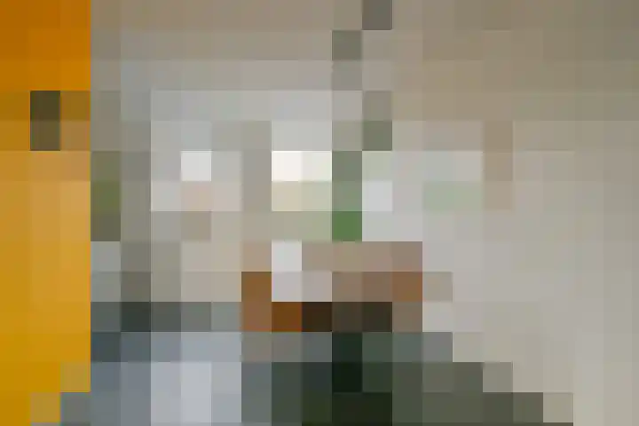 Houtduif 49 Schagen thumbnail 7