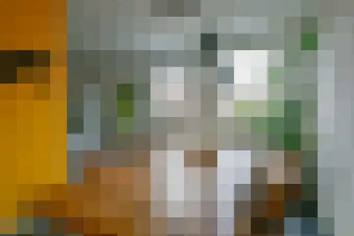Houtduif 49 Schagen thumbnail 8
