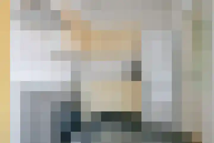 Houtduif 49 Schagen thumbnail 9