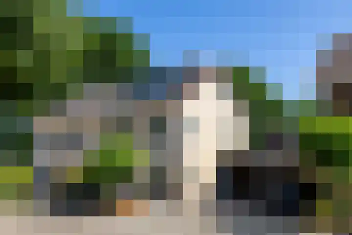 Houtduif 6 en Raalte