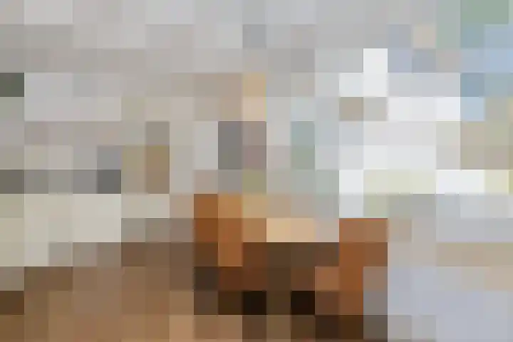 Houtduif 6 Raalte thumbnail 14