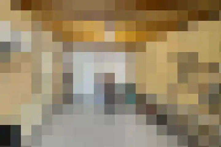 Houtduif 6 Raalte thumbnail 16