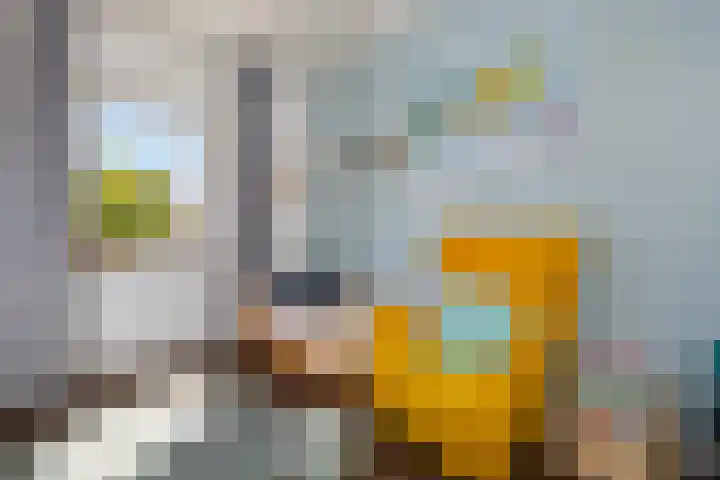 Houtduif 6 Raalte thumbnail 21