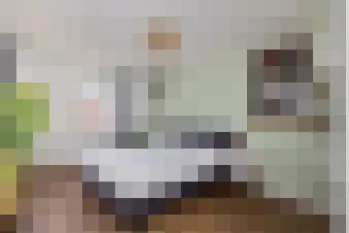 Houtduif 6 Raalte thumbnail 23