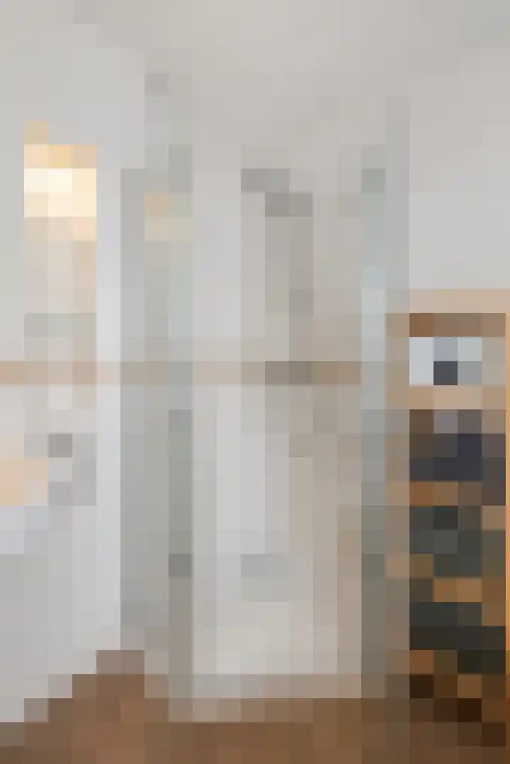 Houtduif 6 Raalte thumbnail 28
