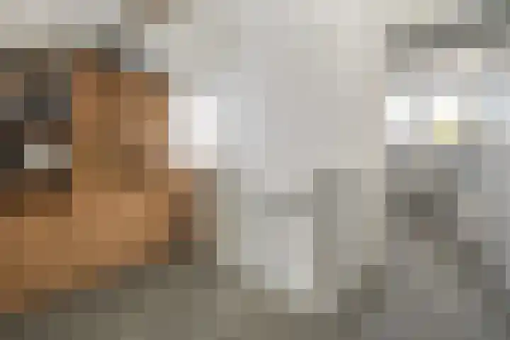 Houtduif 6 Raalte thumbnail 29