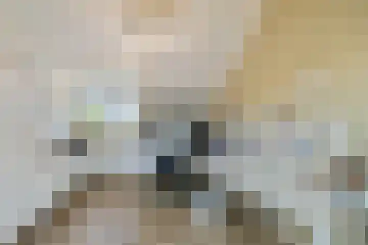 Houtduif 6 Raalte thumbnail 31